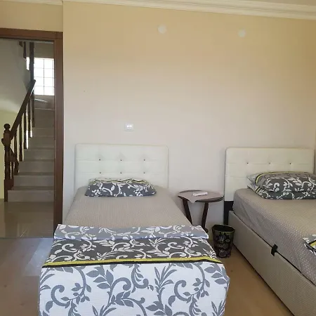 Kispet فيلة باليكسير