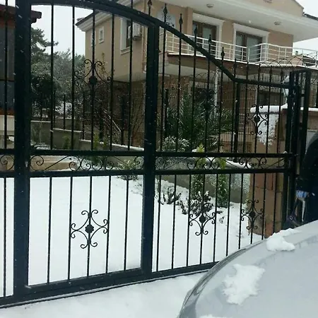 Kispet باليكسير