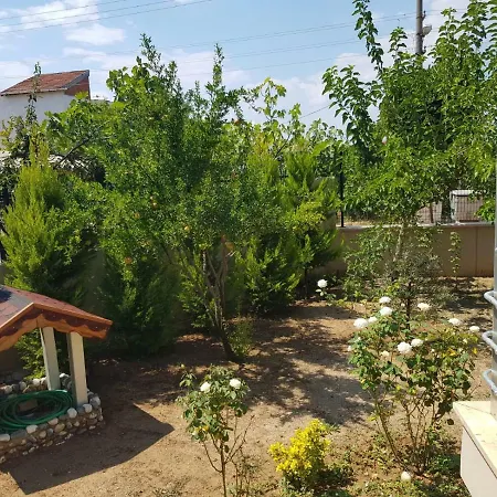 فيلة Kispet *