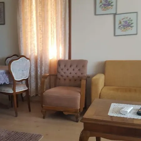 Kispet فيلة